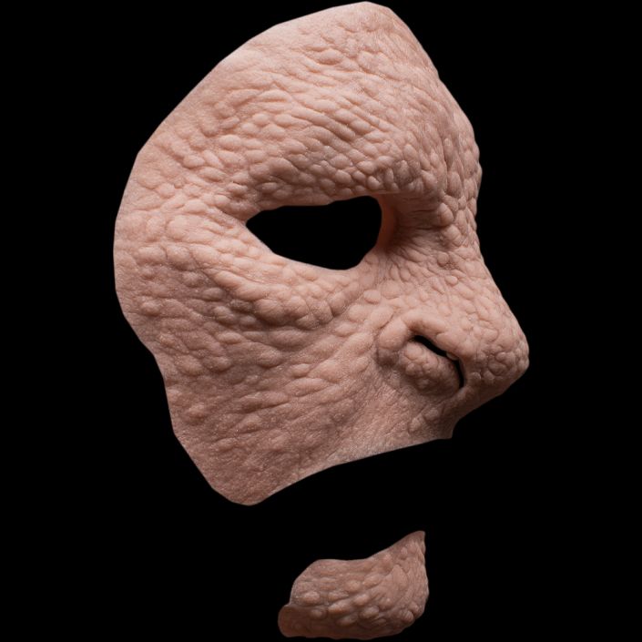 RF1 - Reptile Full Face Unisex - Image 3