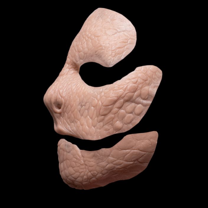 SF1 - Snake Full Face Female - Image 3